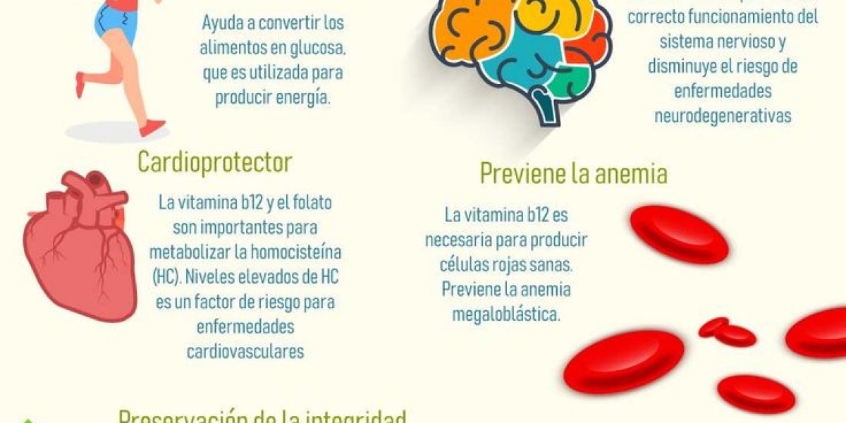 Hormona progesterona: funciones, valores normales y medicamentos