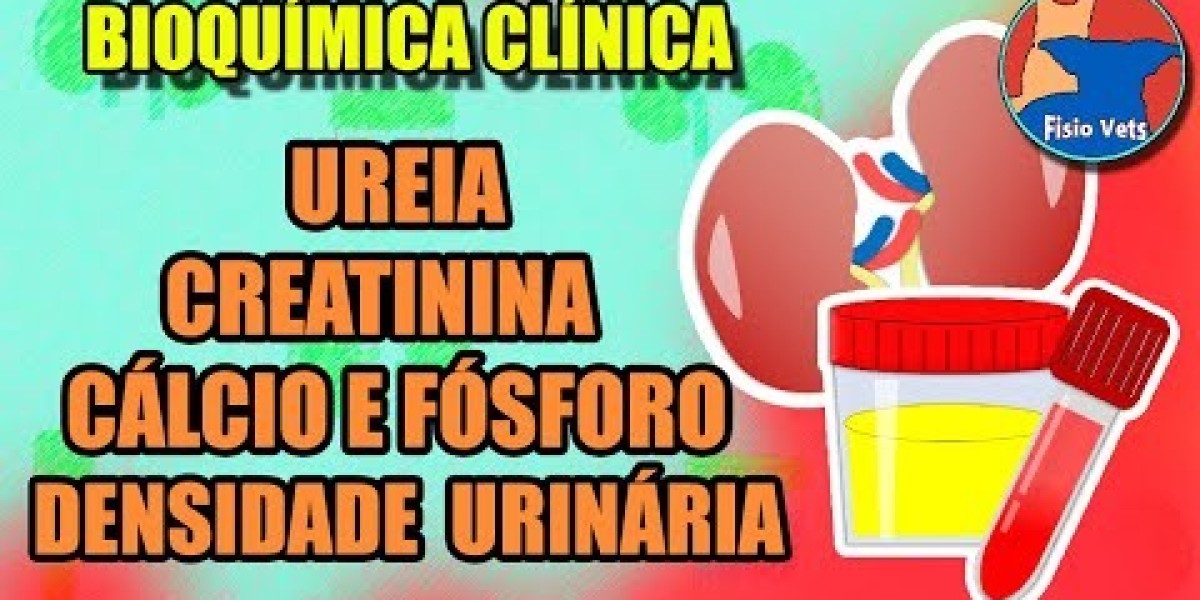 Traumatología veterinaria: la luxación de rótula en mascotas Hospital Veterinario en Barcelona, Urgencias 24h