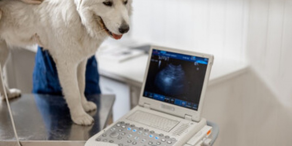 Radiographic Diagnosis of Pleural Effusion and Pulmonary Edema in Dogs and Cats