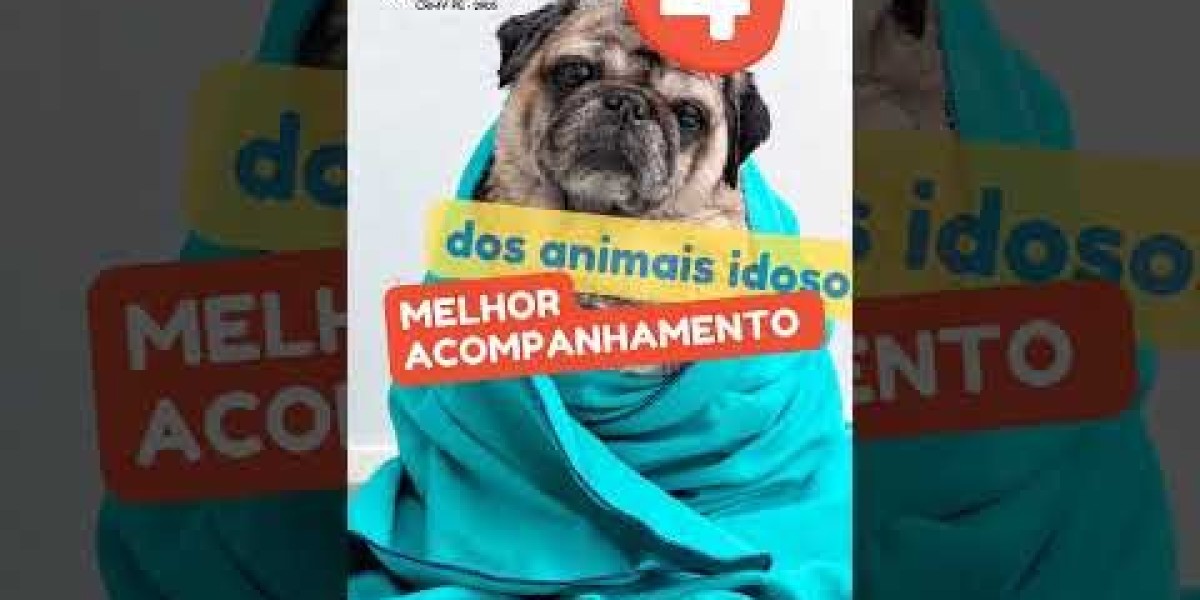 Ecocardiograma: ¿Qué es, cómo se realiza y qué tipos existen?